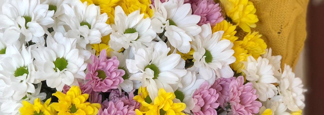 Хризантемы